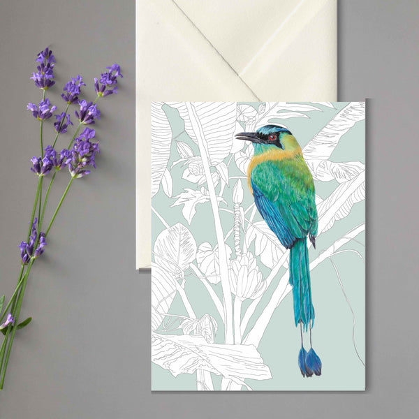 Mot Mot Greeting Card