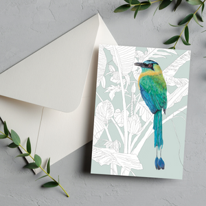 Greeting Cards