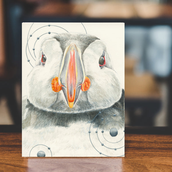 Animals of the Snow (5 Greeting Cards Box Set)
