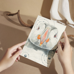Atlantic Puffin Greeting Card