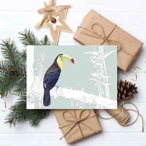 Birds of El Camino de Costa Rica (5 Greeting Cards Box Set)