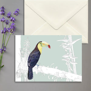 Birds of El Camino de Costa Rica (5 Greeting Cards Box Set)