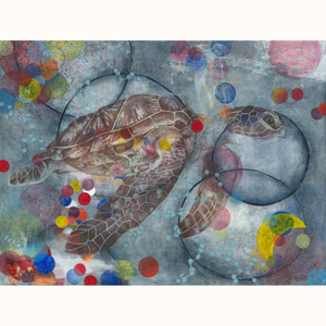 I am You, You are Me: Hawksbill Turtle