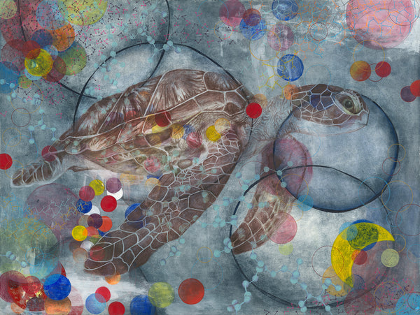 I Am You. You Are Me: Hawksbill Turtle (Print)