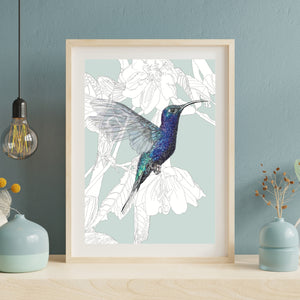 Violet Sabrewing Hummingbird – Birds of El Camino de Costa Rica