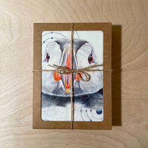 Animals of the Snow (5 Greeting Cards Box Set)