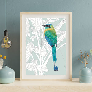 Motmot – Birds of El Camino de Costa Rica