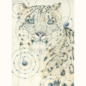 Snow Leopard – Animals of the Snow