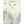 Snowy Owl – Animals of the Snow