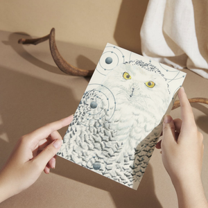Snowy Owl Greeting Card
