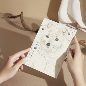 Arctic Fox Greeting Card