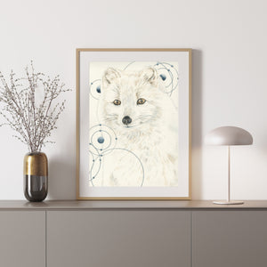 Arctic Fox:Animals of the Snow