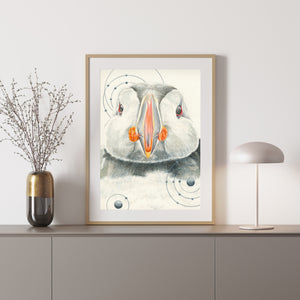 Atlantic Puffin: Animals of the Snow