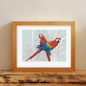 Scarlet Macaws – Birds of El Camino de Costa Rica