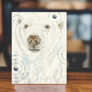 Animals of the Snow (5 Greeting Cards Box Set)