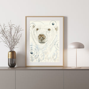 Polar Bear – Animals of the Snow