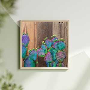 Purple Prickly Pear Cactus