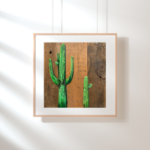 Desert Patience: Saguaros
