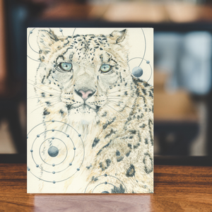 Animals of the Snow (5 Greeting Cards Box Set)