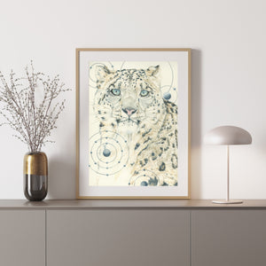 Snow Leopard – Animals of the Snow